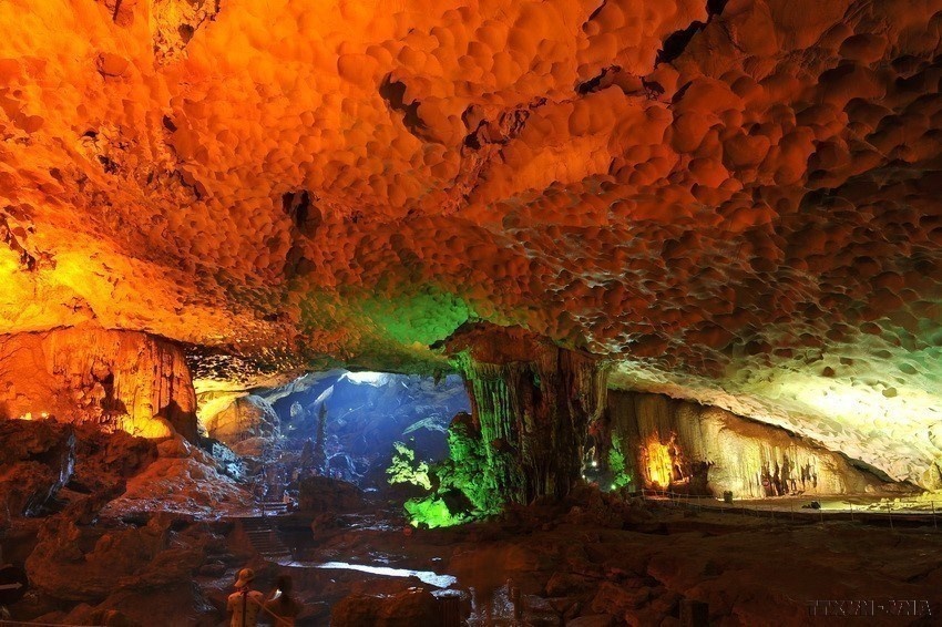 Ha Long Bay-Cat Ba Archipelago recognised as world heritage