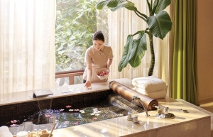 Expected trendS for wellness tourism