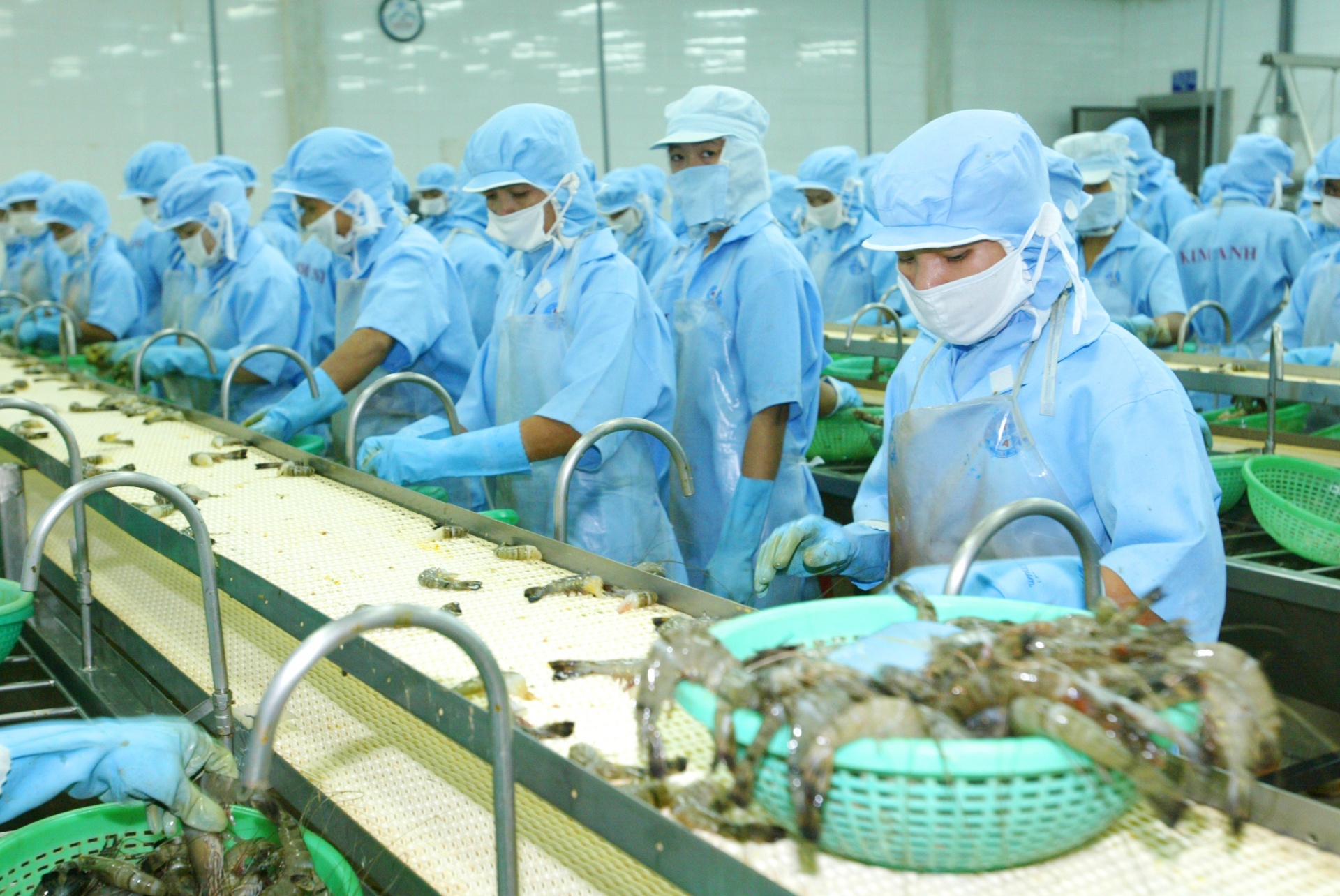 Modest seafood export gains in June signal tough road ahead